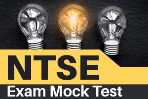 NTSE Exam Mock Test